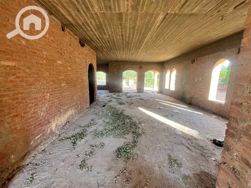 5 WhatsApp Image 2025-02-11 at 11.48. 17 PM. jpeg