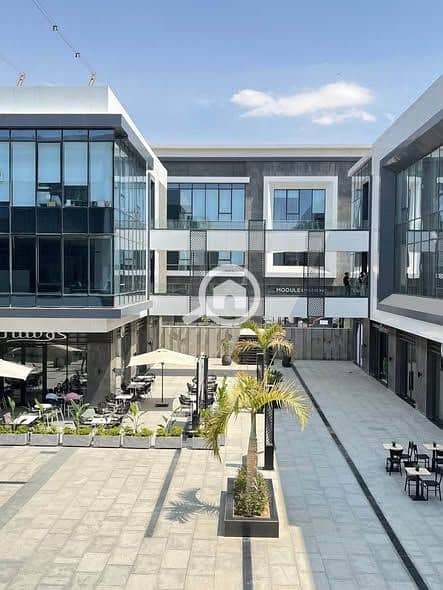 6 579446846_122136757574945582_1115377633030482527_n. jpg