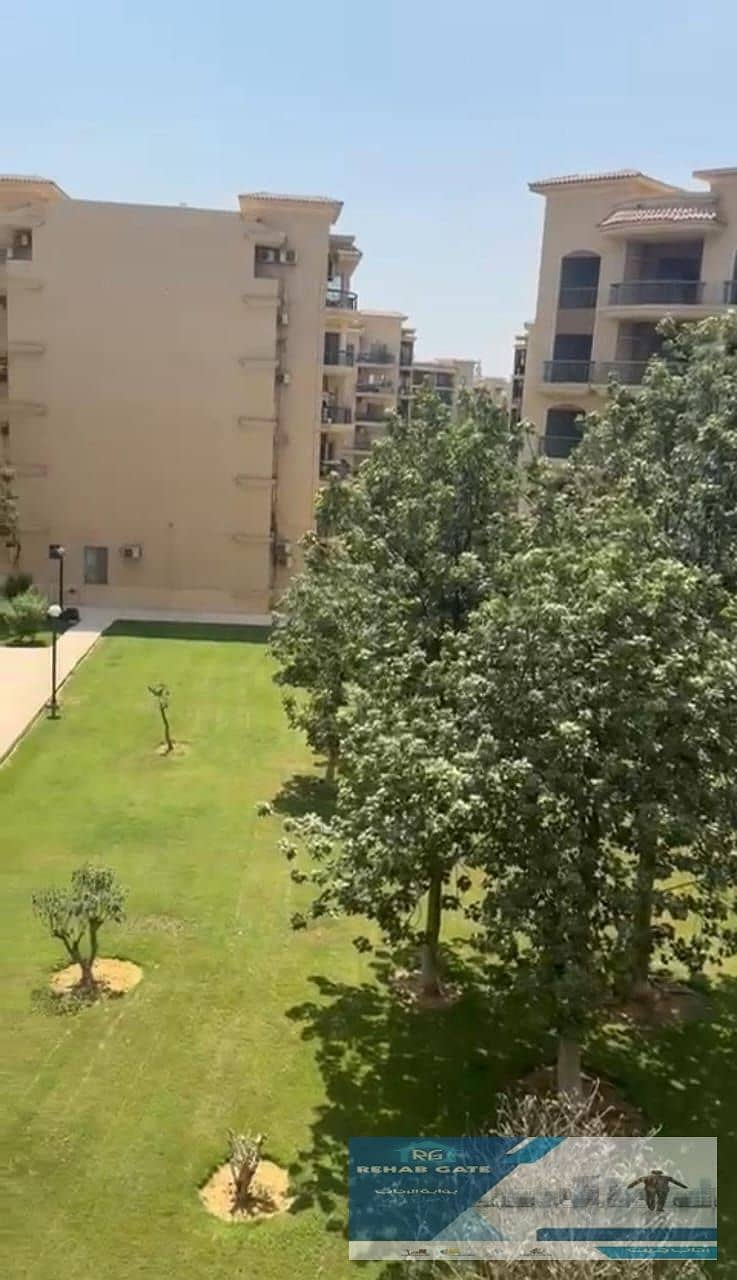 3e878df4-30e7-49f8-969b-bd6db60ab37d. jpg