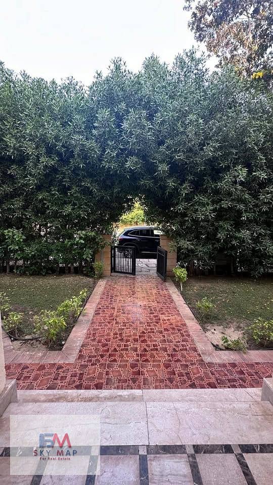 8 577787661_24776718405345222_4856326250589510955_n. jpg