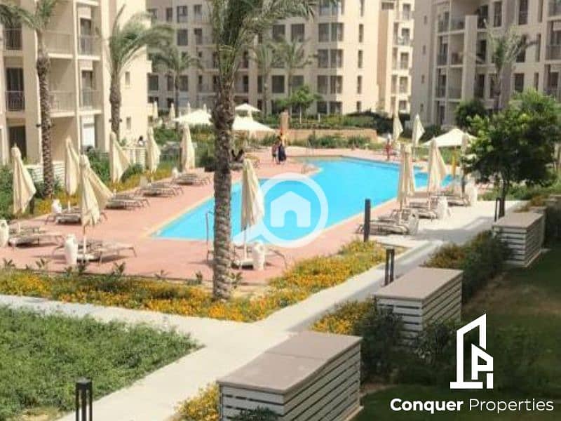 6 Untitled design (14). png