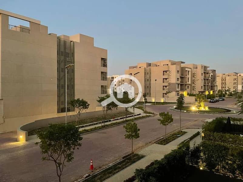 12 578248035_122164437722411546_7847738229969130537_n. jpg