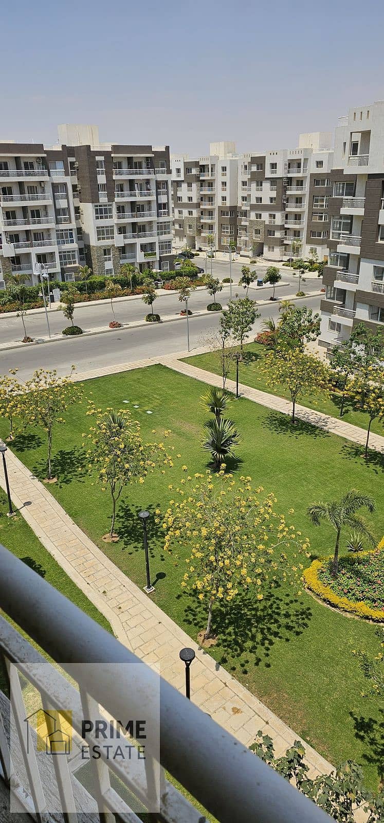 7 529965795_122137436012659356_8131587364803539199_n. jpg