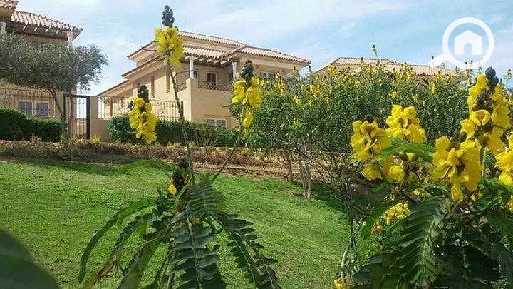 3 WhatsApp Image 2025-10-28 at 12.21. 25 PM. jpeg