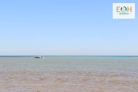 شقة 1 غرفة نوم للبيع في الغردقة، البحر الأحمر - IMG_4838. jpg