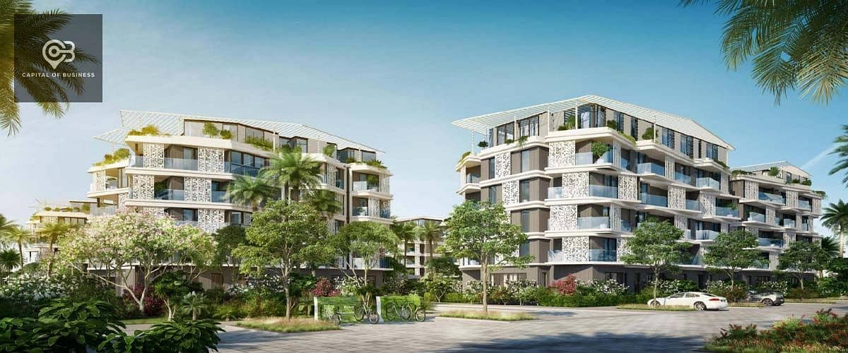 4 بادية-بالم-هيلز-اكتوبر. jpg