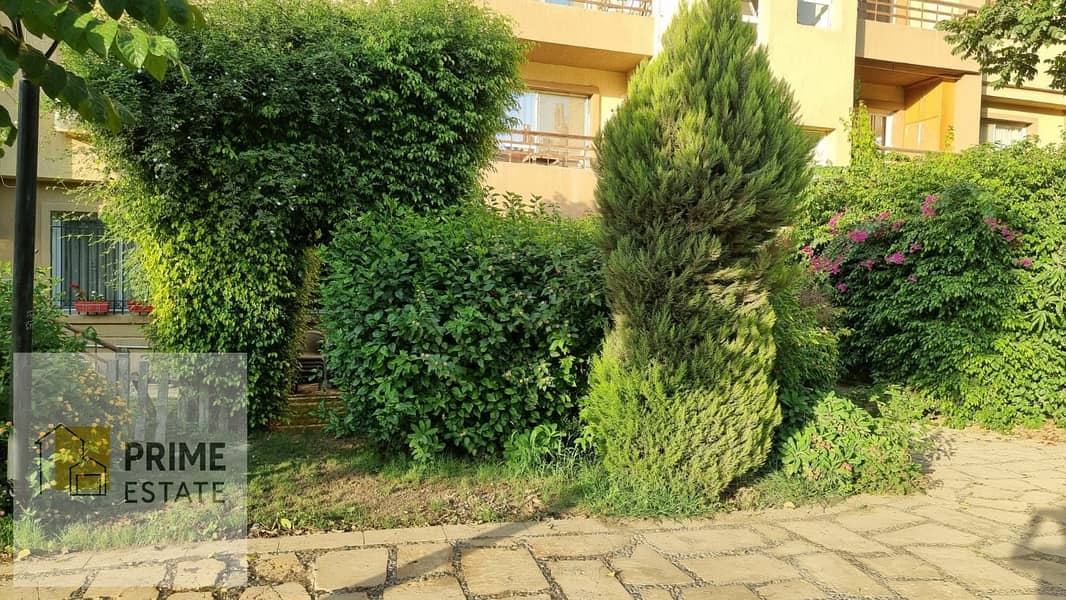 4 WhatsApp Image 2025-09-22 at 17.50. 37_dc36e3a8. jpg