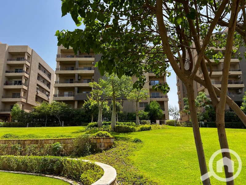 4 32383be3-38d4-4b81-9059-a72863e91ec3. jpg