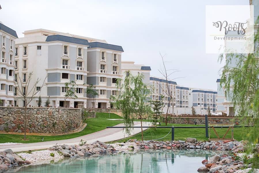 12 577935784_25494491360154962_2402288408326749404_n. jpg