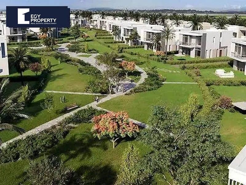 10 152248901-800x600. jpg