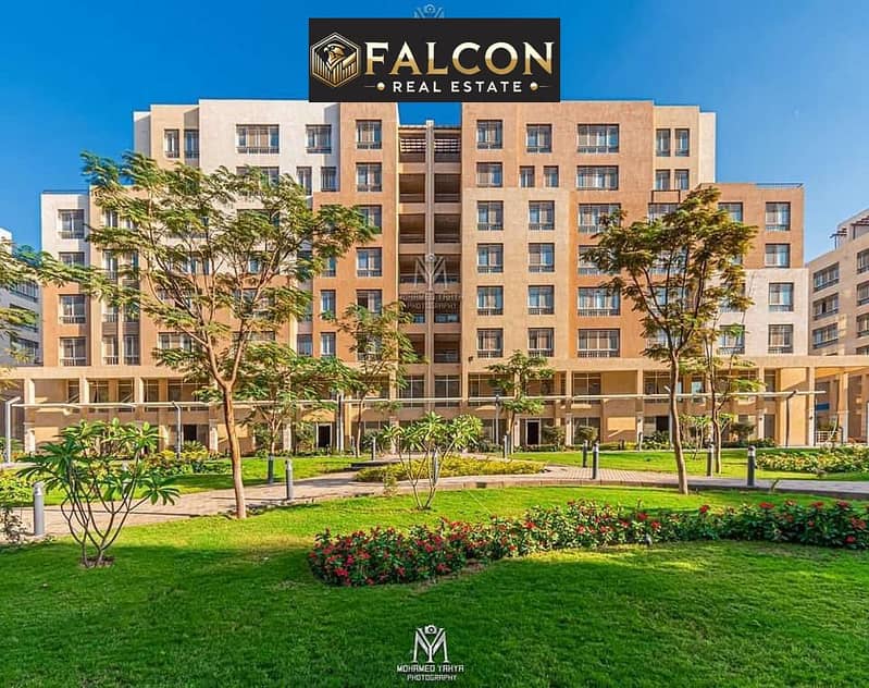 7 291d2cb2-9c5c-4b38-ba03-05b9796eb888. jpg