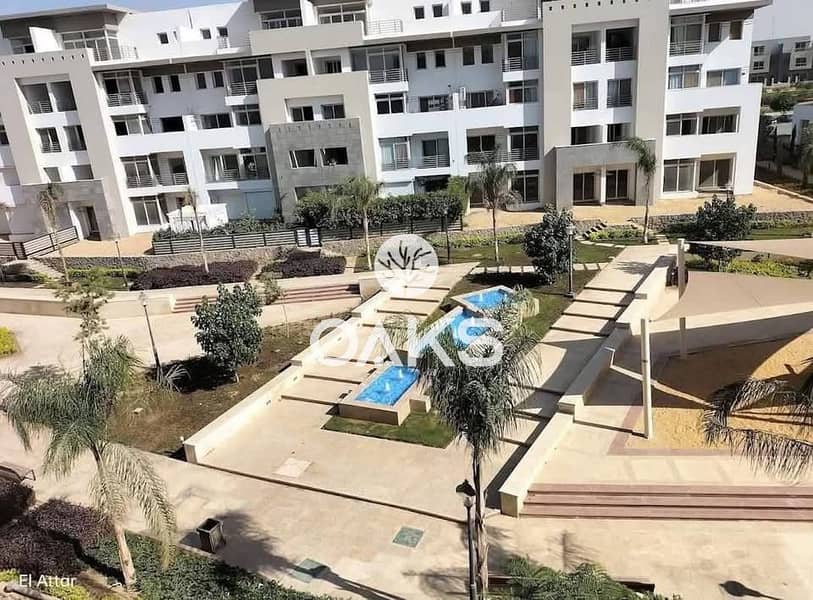 8 548334062_122128969040929424_6352953179371888255_n. jpg