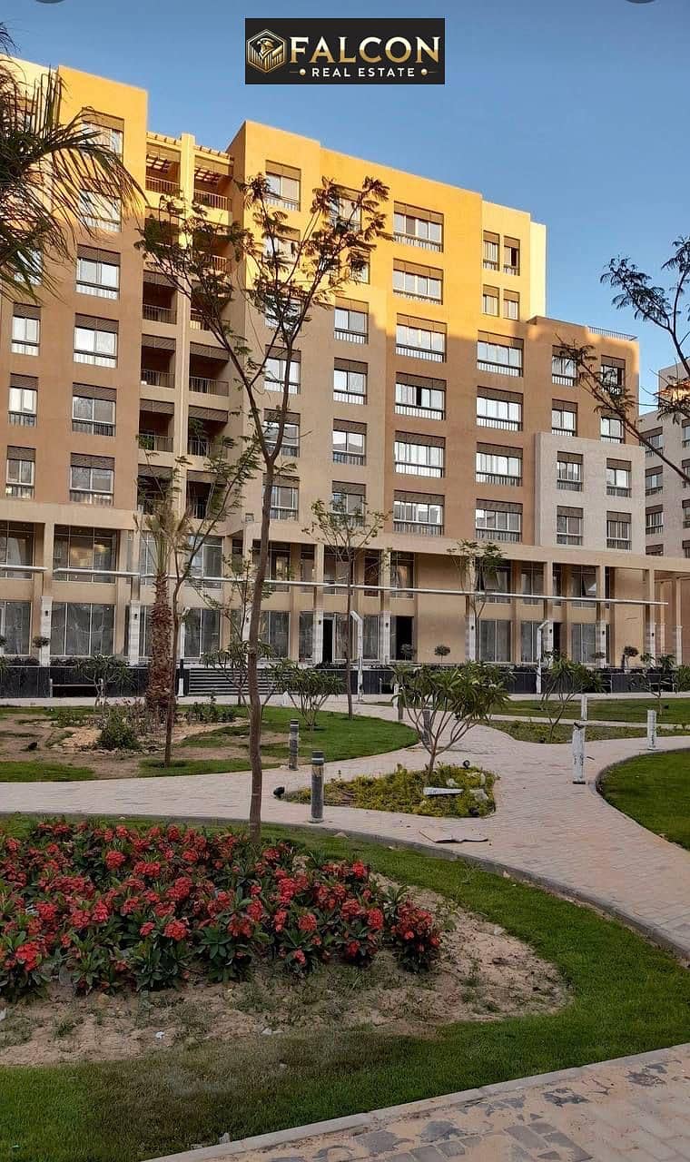 3 4d624f38-554e-4ea6-9506-dfe446c7a420. jpg