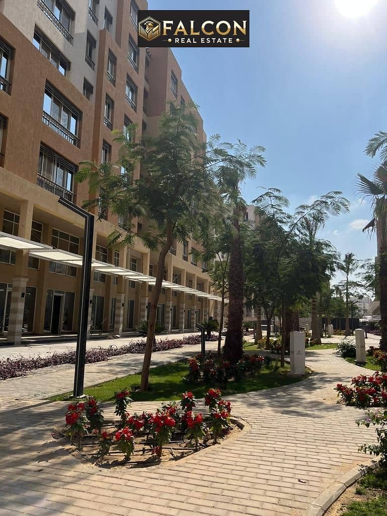 9 11d9c82e-8949-4758-8086-2f2dcd73d910. jpg