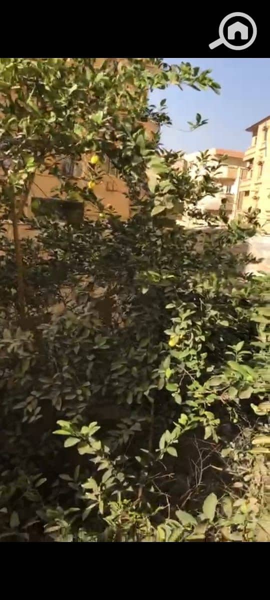 10 WhatsApp Image 2025-11-10 at 4.13. 05 PM. jpeg