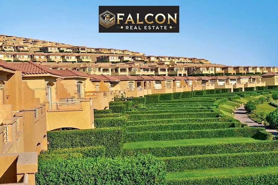 4 5918078602035972539. jpg