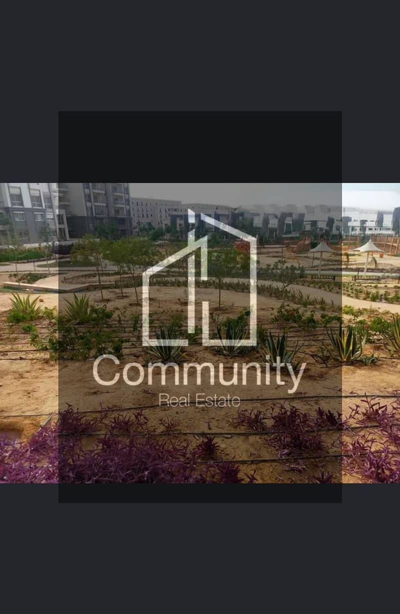 9 005009a1-1fe9-4e25-8287-089b521c7a30. png