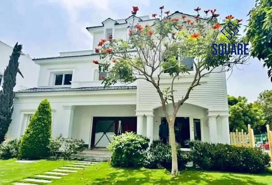 18 7695453-d943bo. jpg