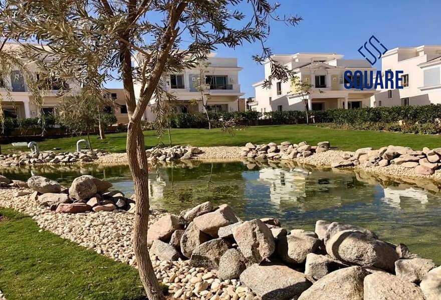 6 7397851-7dd77o. jpg