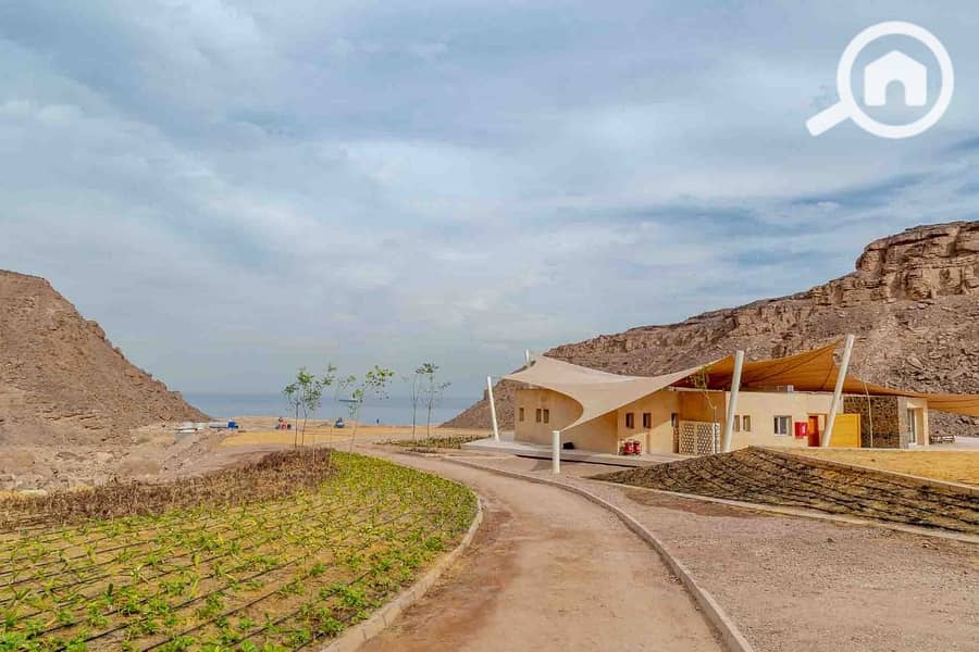 9 WhatsApp Image 2025-09-21 at 18.20. 35_0d85d0e1. jpg