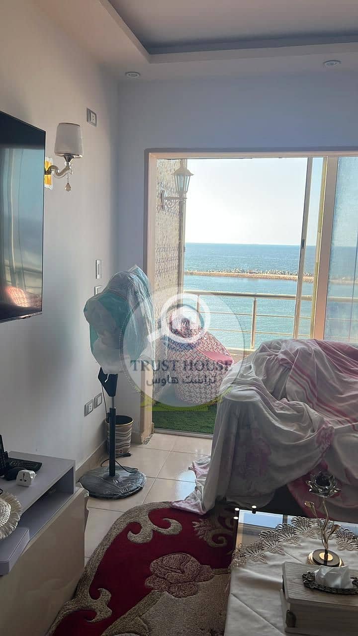 3 WhatsApp Image 2025-10-28 at 19.21. 27 (2). jpeg