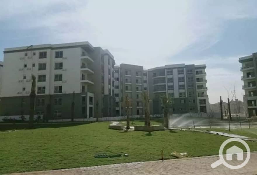 4 IMG-20251009-WA0100. jpg