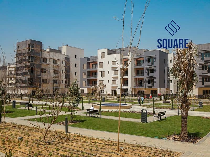 8 Dis 2_800x600_800x600. jpg