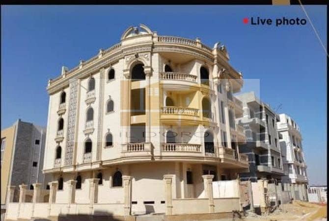 WhatsApp Image 2025-11-10 at 16.18. 08_051b1955. jpg