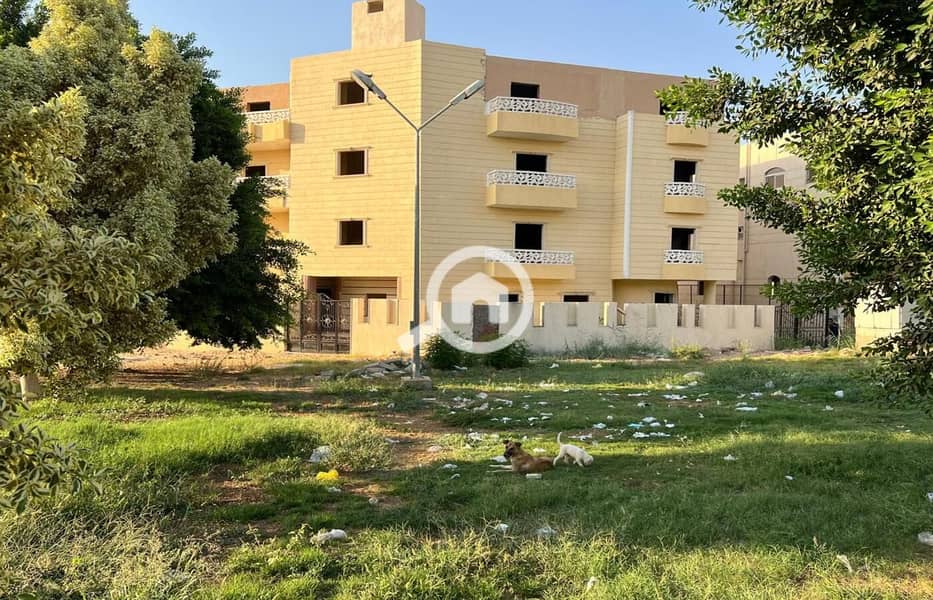 12 WhatsApp Image 2024-08-12 at 18.25. 20. jpeg