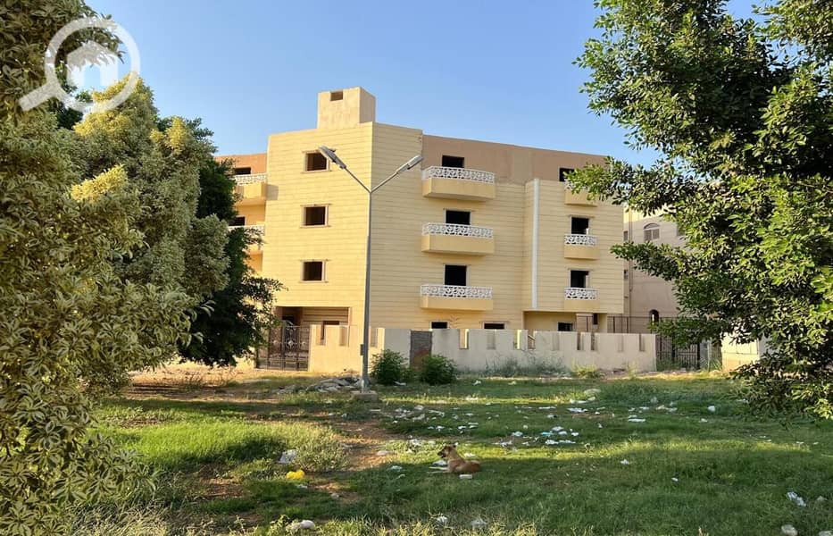 13 WhatsApp Image 2024-08-12 at 18.25. 23. jpeg