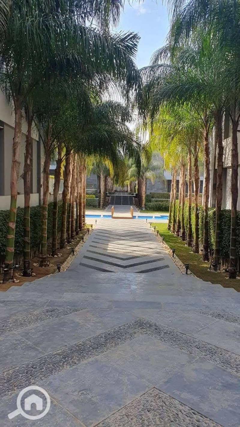 8 547372908_122315760650000951_1113045129056412169_n. jpg