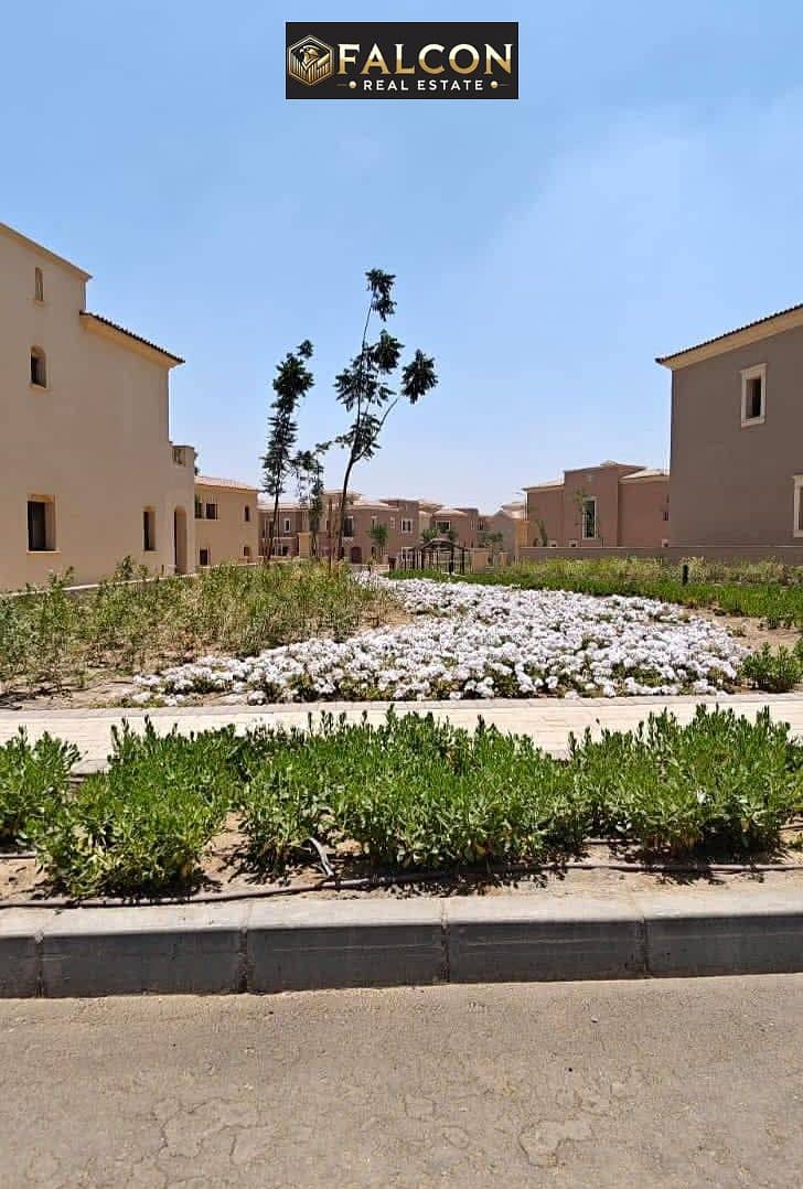 10 544980571_1074032691474231_8649632624185779654_n. jpg