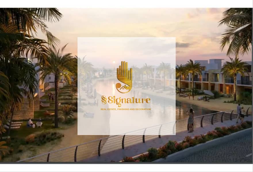 8 5569948-a53b8o. jpg