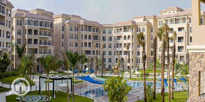 6 554847692_122191630772326027_796180503775270112_n. jpg