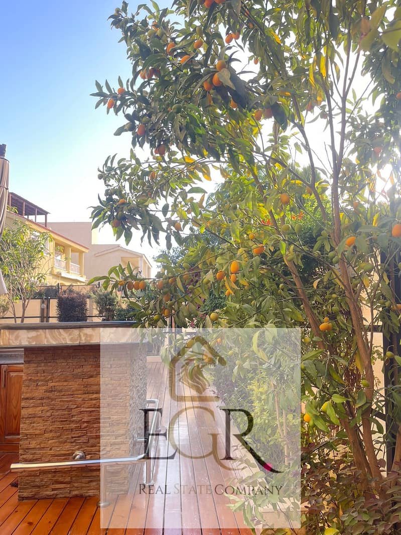 31 WhatsApp Image 2025-11-10 at 2.20. 53 PM (1). jpeg