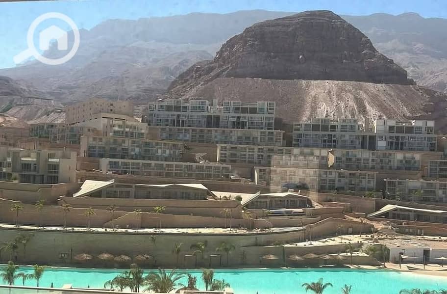 6 516746082_1405009200615508_5076394731873064686_n. jpg