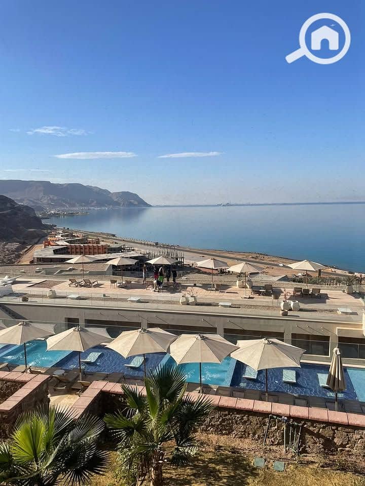 8 516860617_3336821999792023_3098660302092050017_n. jpg