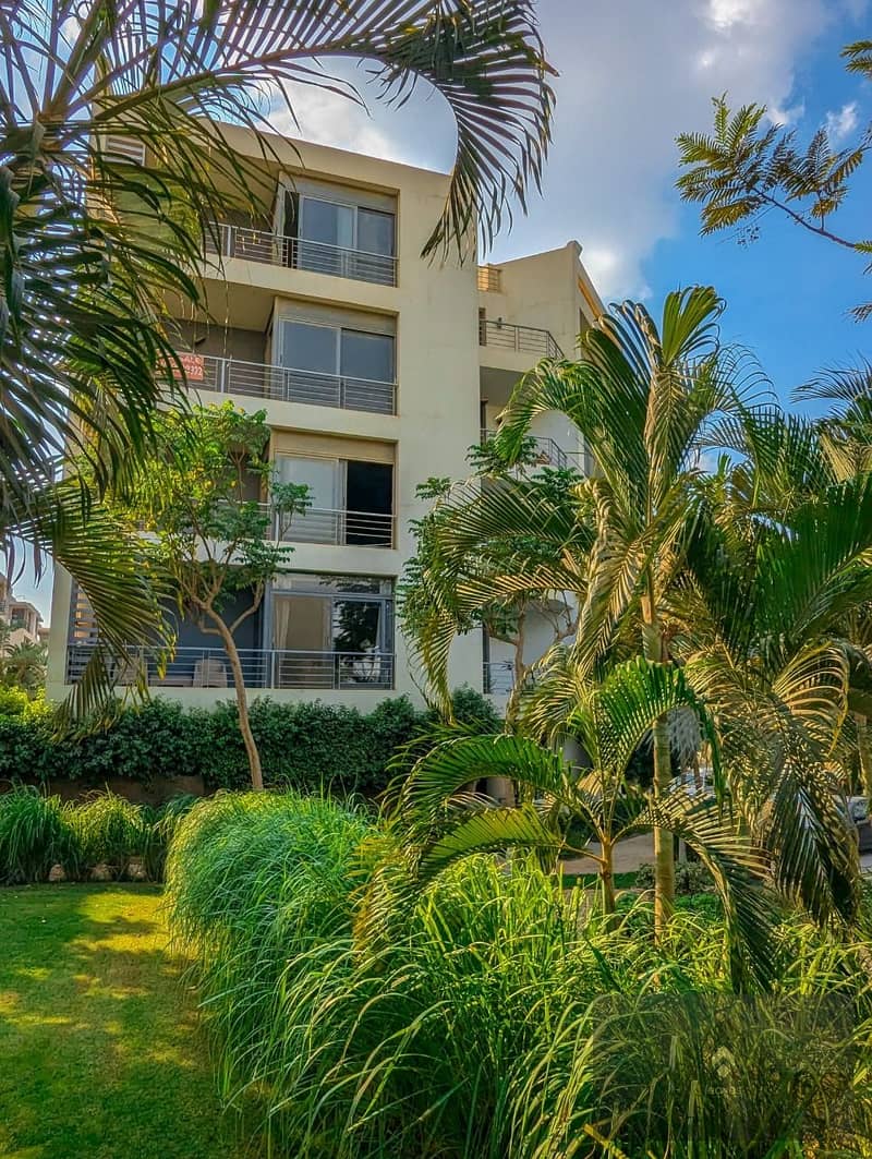 4 479677550_612277425066230_2127537548184458230_n. jpg