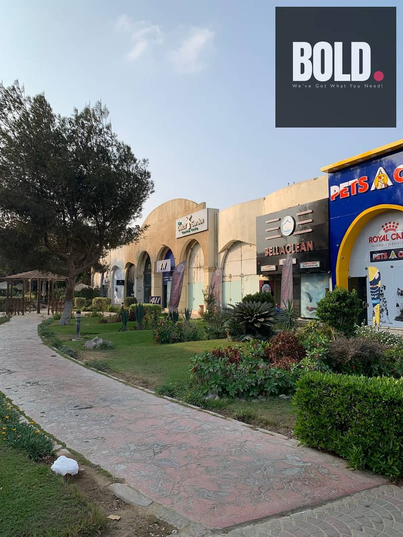 6 d53aa162-0963-46c1-a92b-9c16c4654f37. jpg