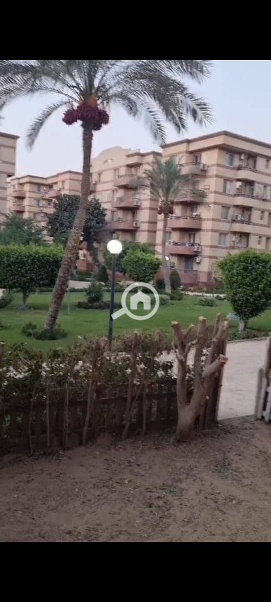 3 e357e532-d504-43f1-ba90-de088056a98e. jpg