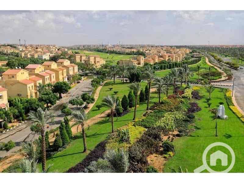 10 0135e654-b118-4823-8726-4b0d8159f8b3. jpg