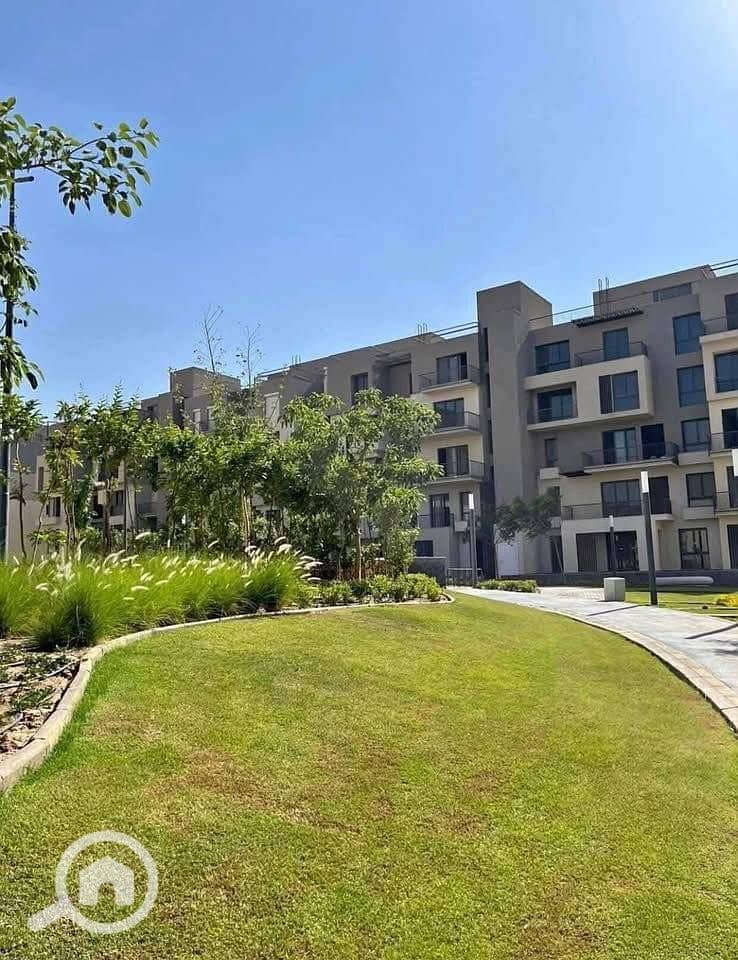 10 533700083_122142374882644114_2868003245561281705_n. jpg