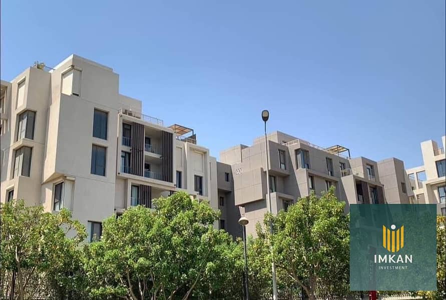 12 453193994_3852619714957273_1167209625071367353_n. jpg