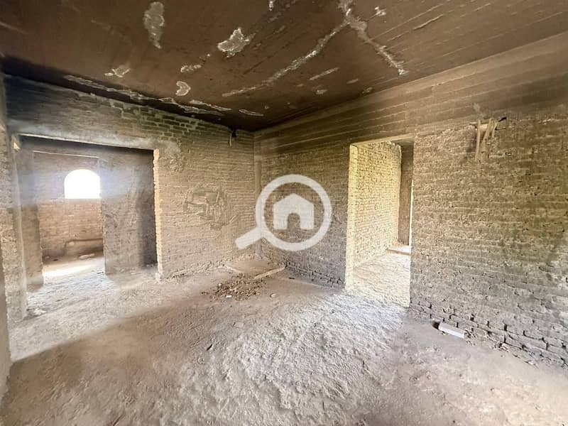 6 558437672_2743478195984263_7535054098645847085_n. jpg