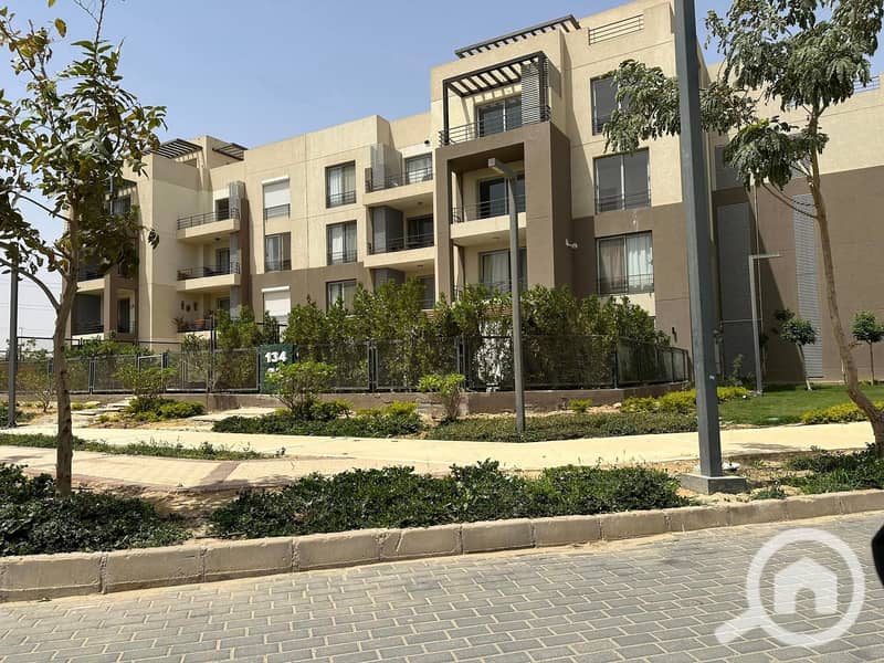 3 441542826_10229698435501010_3578984239657540334_n. jpg