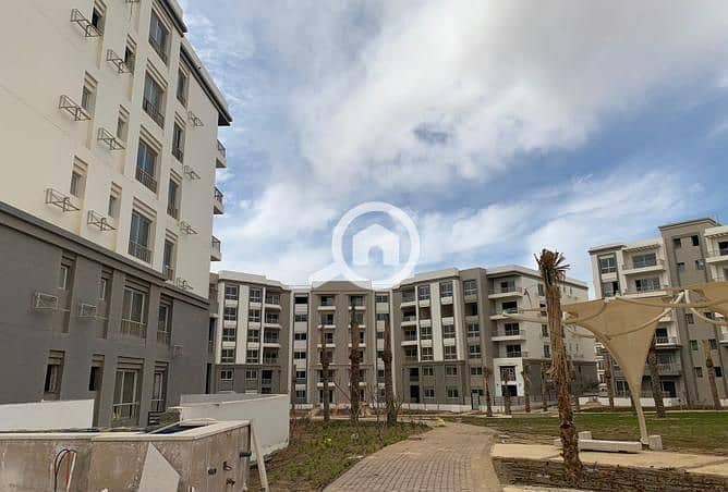 4 3828587-5ce85o. jpg