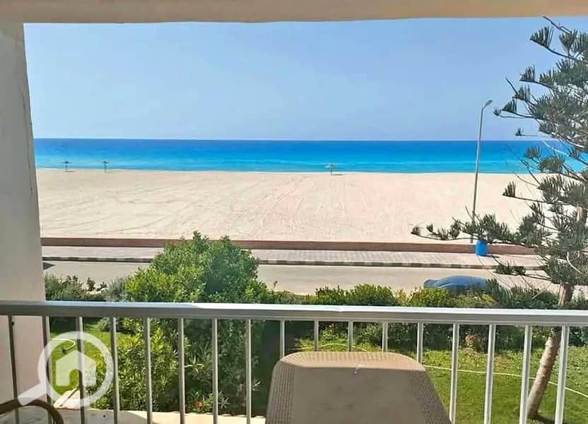 5 569026167_1786353335391381_3095527999615960925_n. jpg