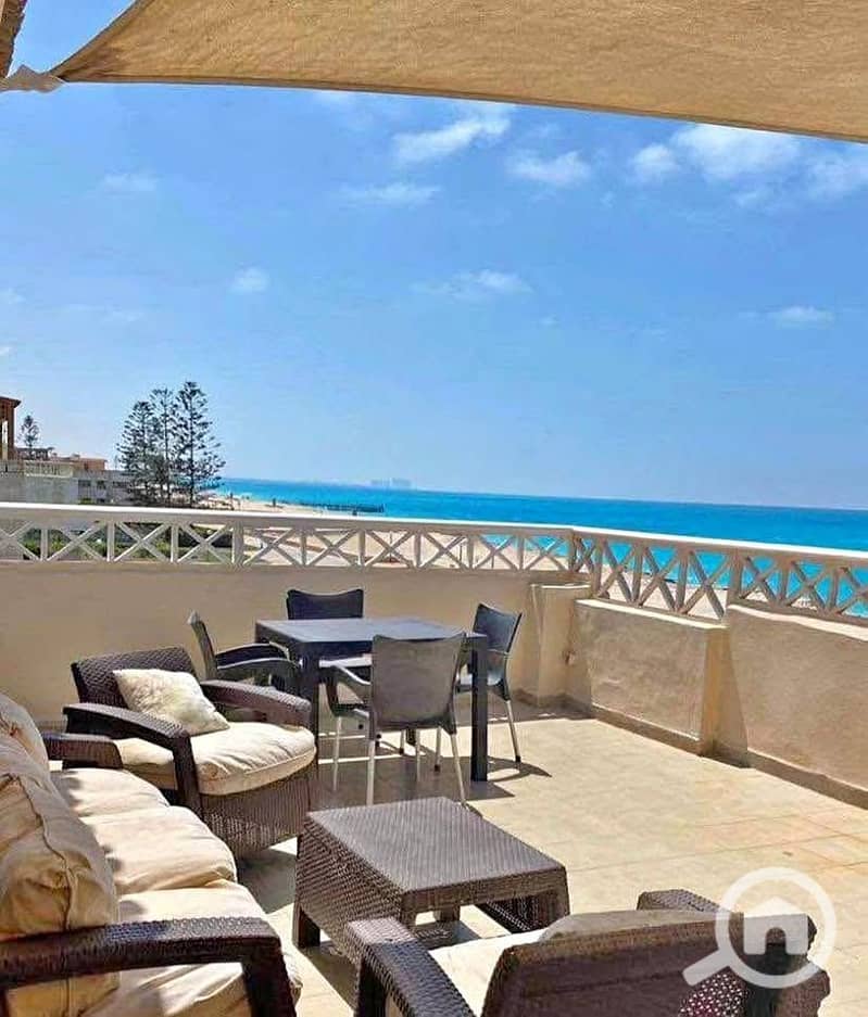 8 571050331_1468122817808109_4891160645539454981_n. jpg