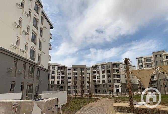 2 3828587-5ce85o. jpg