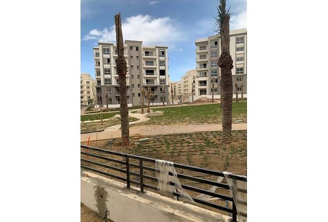 5 3828587-7b889o. jpg